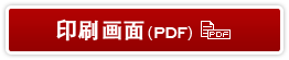 印刷画面(PDF)